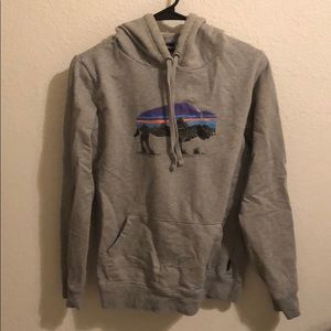 Women’s M Patagonia Hoodie: Bison